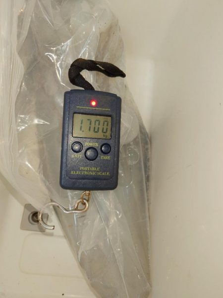 月夜エギングin対馬