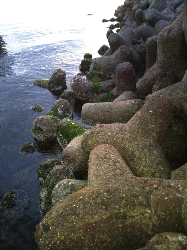 ちょい釣り20230226