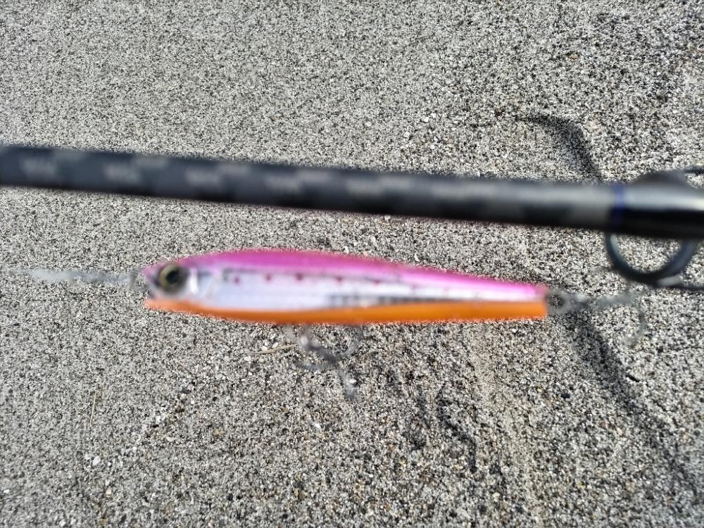 吹上浜にて砂鰤ゲット!