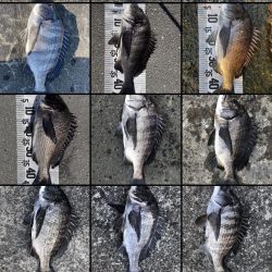 イチノ兄弟（兄）釣果！