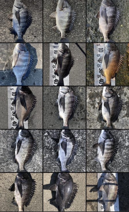 イチノ兄弟（兄）釣果！