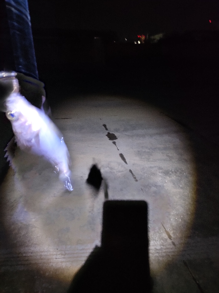 ニヶ月ぶりの釣行