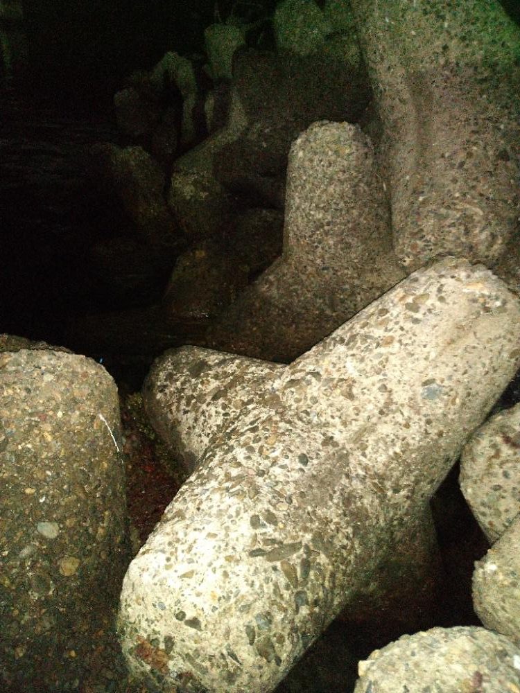 ちょい釣り20230222