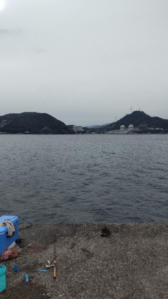 アジ回遊あり！