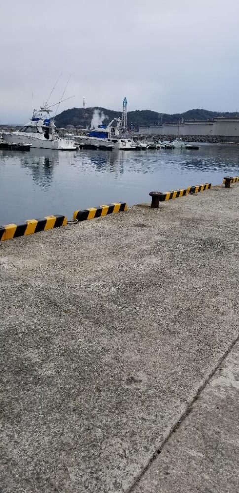 初島漁港から湯浅まで。アジング