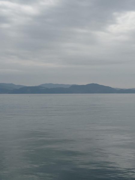 コウイカエギング