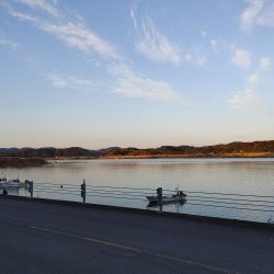 尺鯵狙いでライトワインド