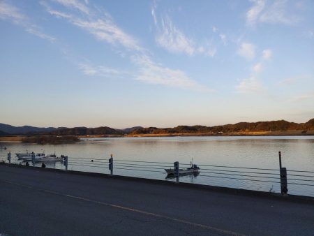 尺鯵狙いでライトワインド