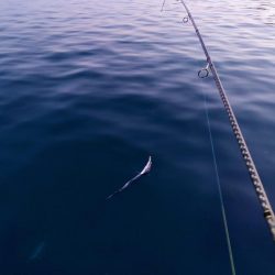 タチウオジギング＆ワインド