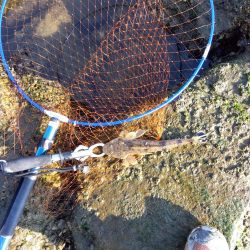 真冬のフラット狙い…なのに…