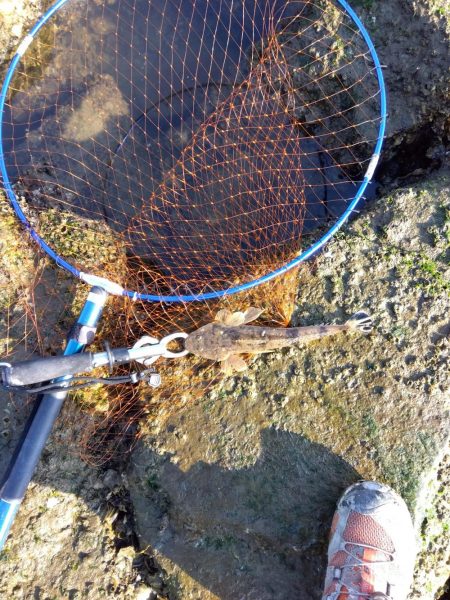 真冬のフラット狙い…なのに…