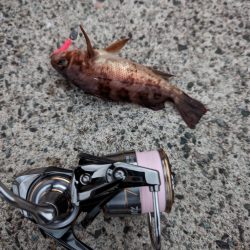 デイメバリング