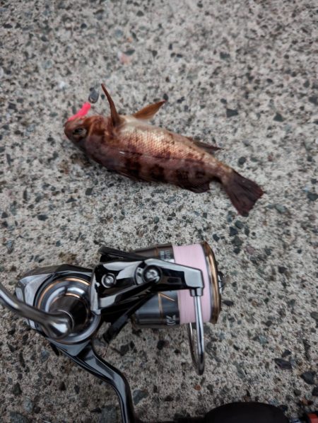 デイメバリング