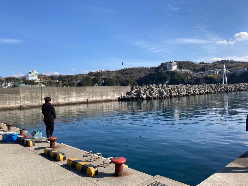 サビキにハマりつつある