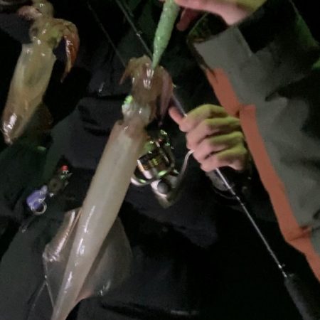 ヤリイカエギングin呼子