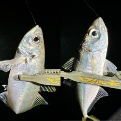 ボートアジング