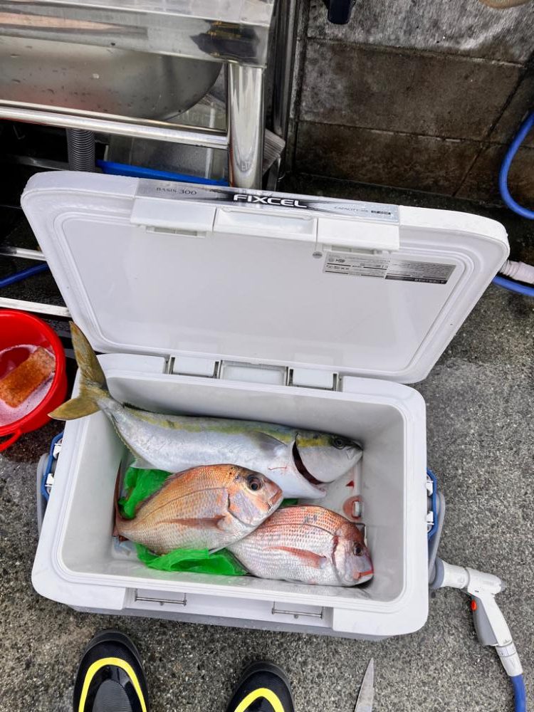 反応はあるが、