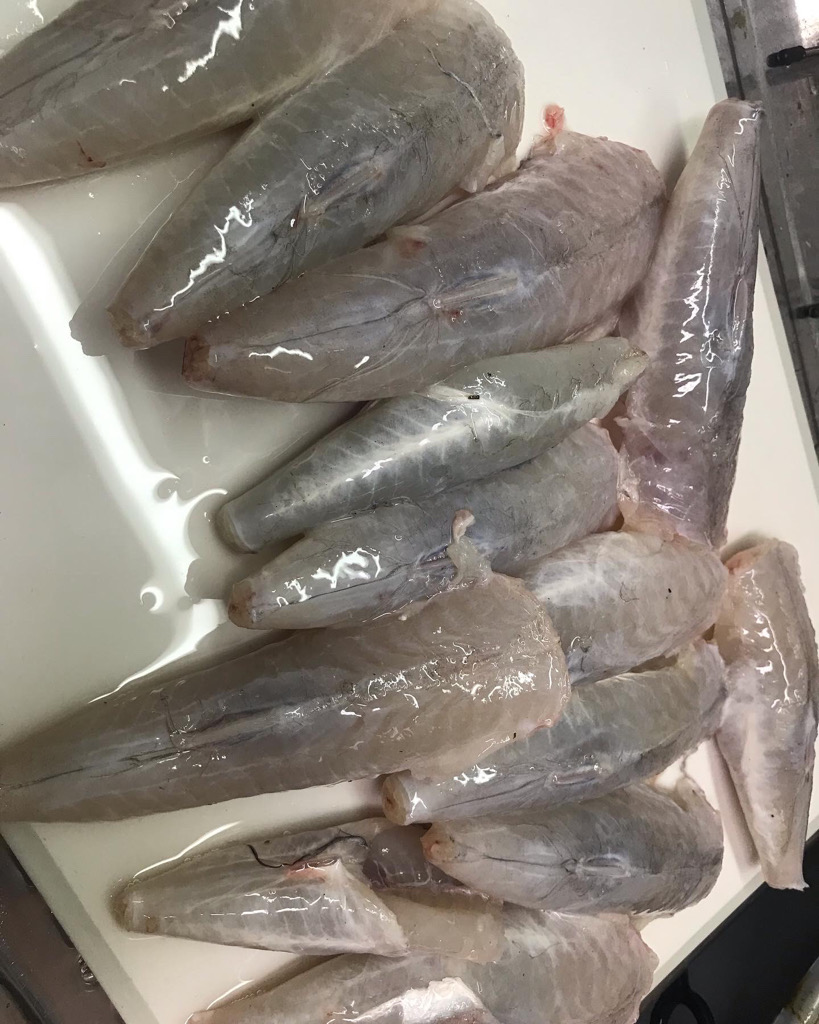 播磨カットウフグ