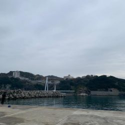 なんとしても釣りたくて…