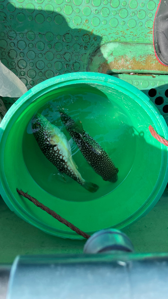 アタリが少ない