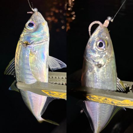 ボートアジング