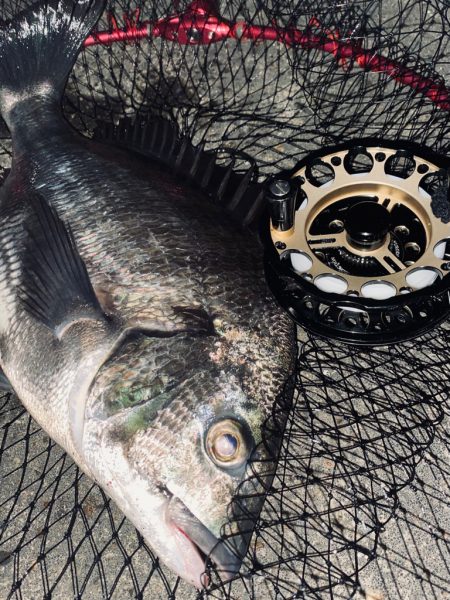 ヘチってきました