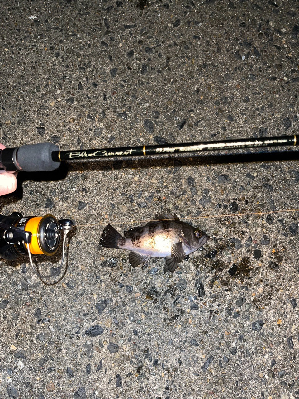 23メバリング日記2