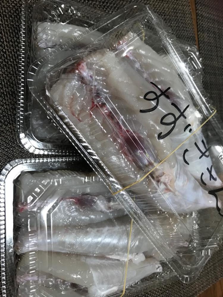 神戸沖カットウ釣り