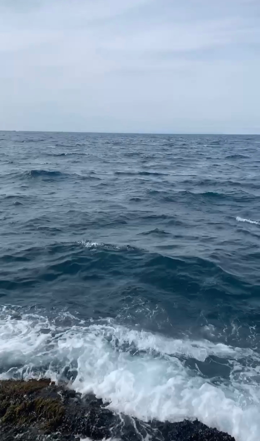 チヌからの挑戦状