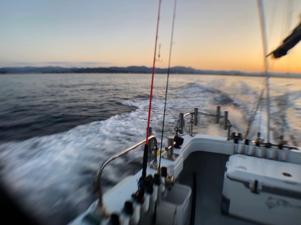 寒波以降の厳しさ脱出か