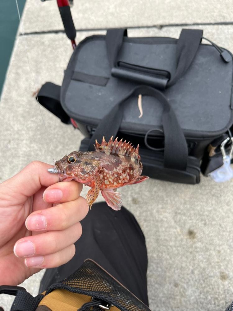 少し遠出ライトゲーム②