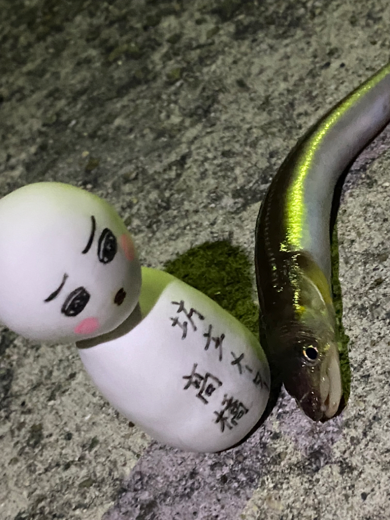 今シーズン初メバルへ