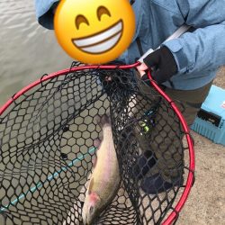 鯵道とファインテールでトラウトツヌケ！