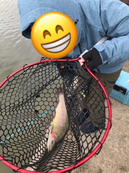 鯵道とファインテールでトラウトツヌケ！