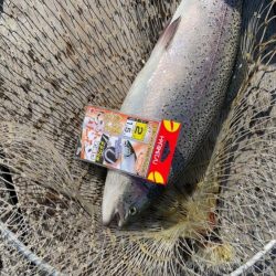 釣堀海恵での釣果