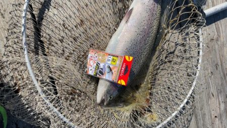 釣堀海恵での釣果