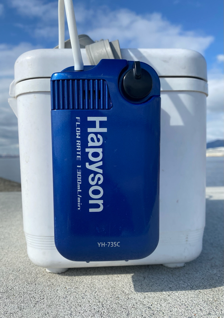 風も無くベタ凪の暖かい日