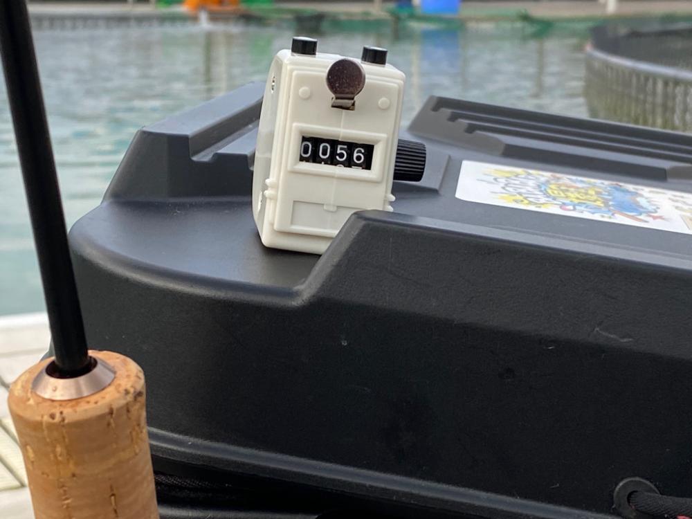 エリアトラウト　底多め