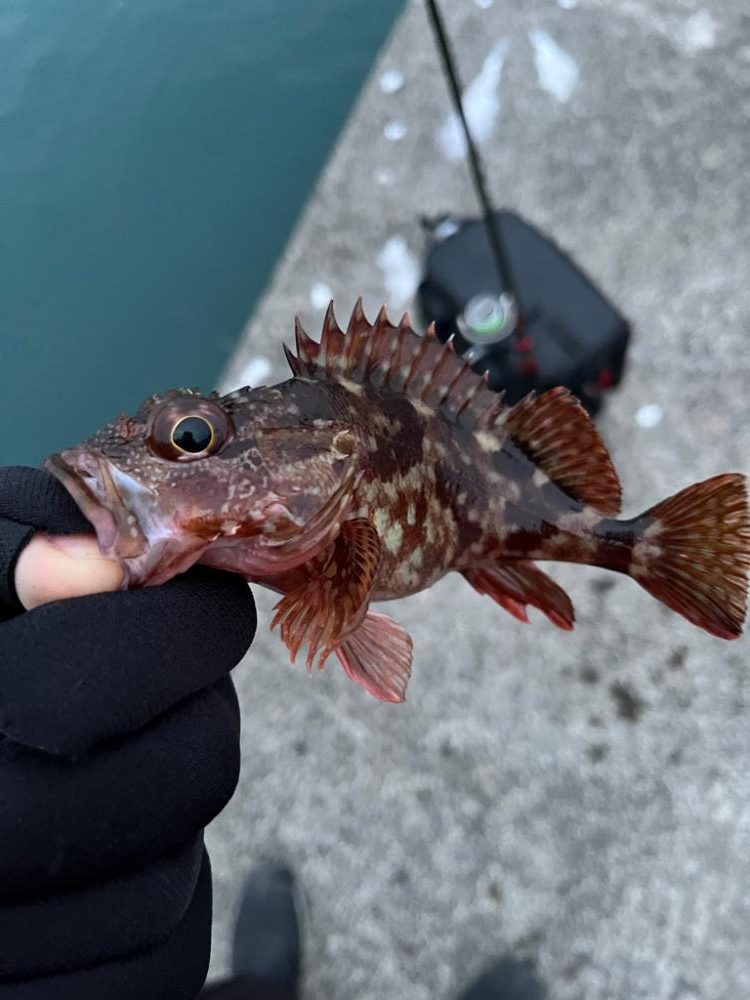 少し遠出ライトゲーム