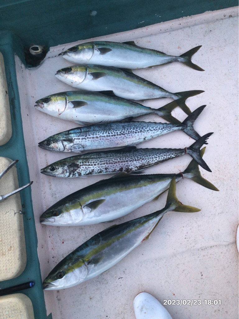 徳島県南伊島沖ジギング