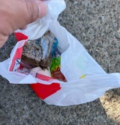 清掃活動：体高ありました！