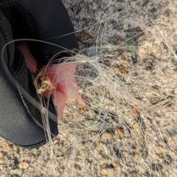 清掃活動：デイメバリング