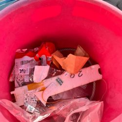 清掃活動：反応はあるが、