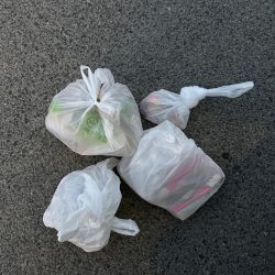 清掃活動：カレイ狙い