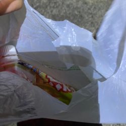 清掃活動：南のニシン