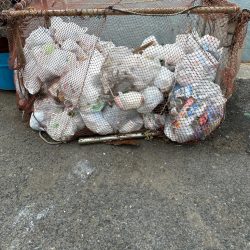 清掃活動：カレイ狙い