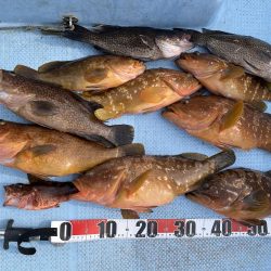 的場大島沖　キジハタ