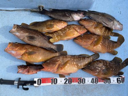 的場大島沖　キジハタ