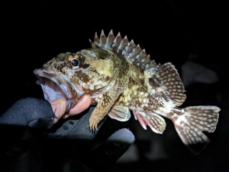 友達との釣りオール後半