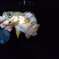 どうしたことか？